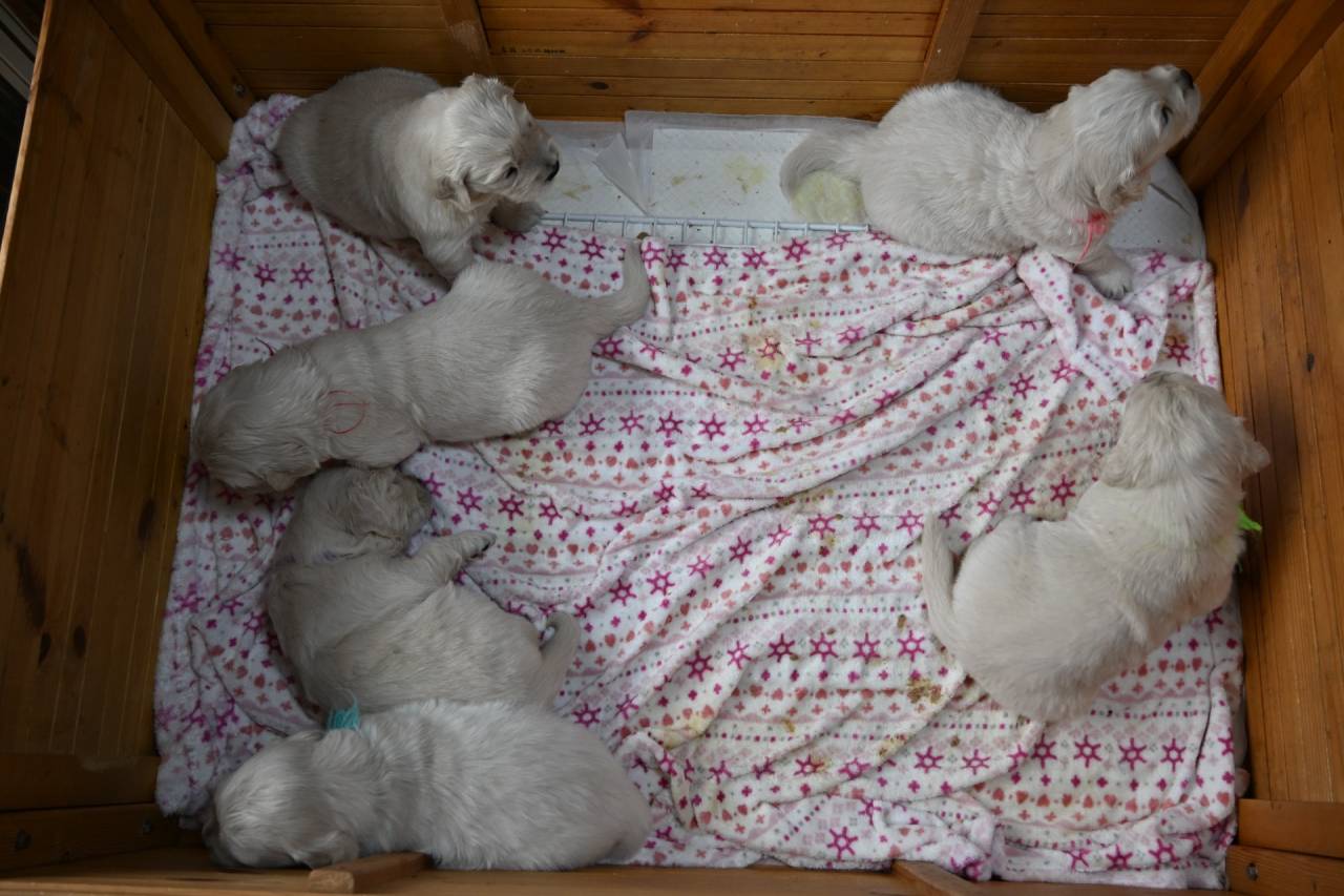 【今日のまゆベビー】