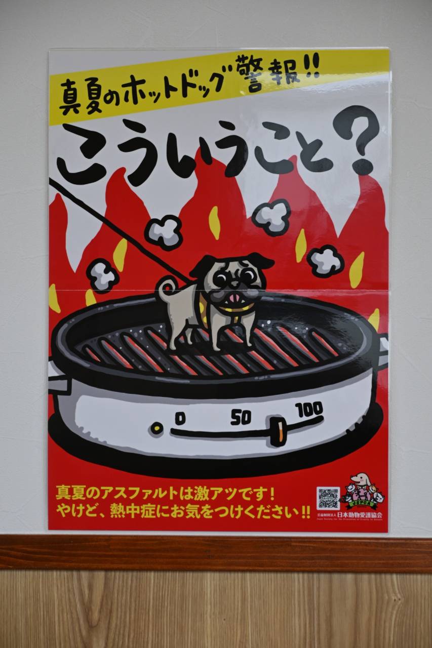【おはようございます】時候の挨拶