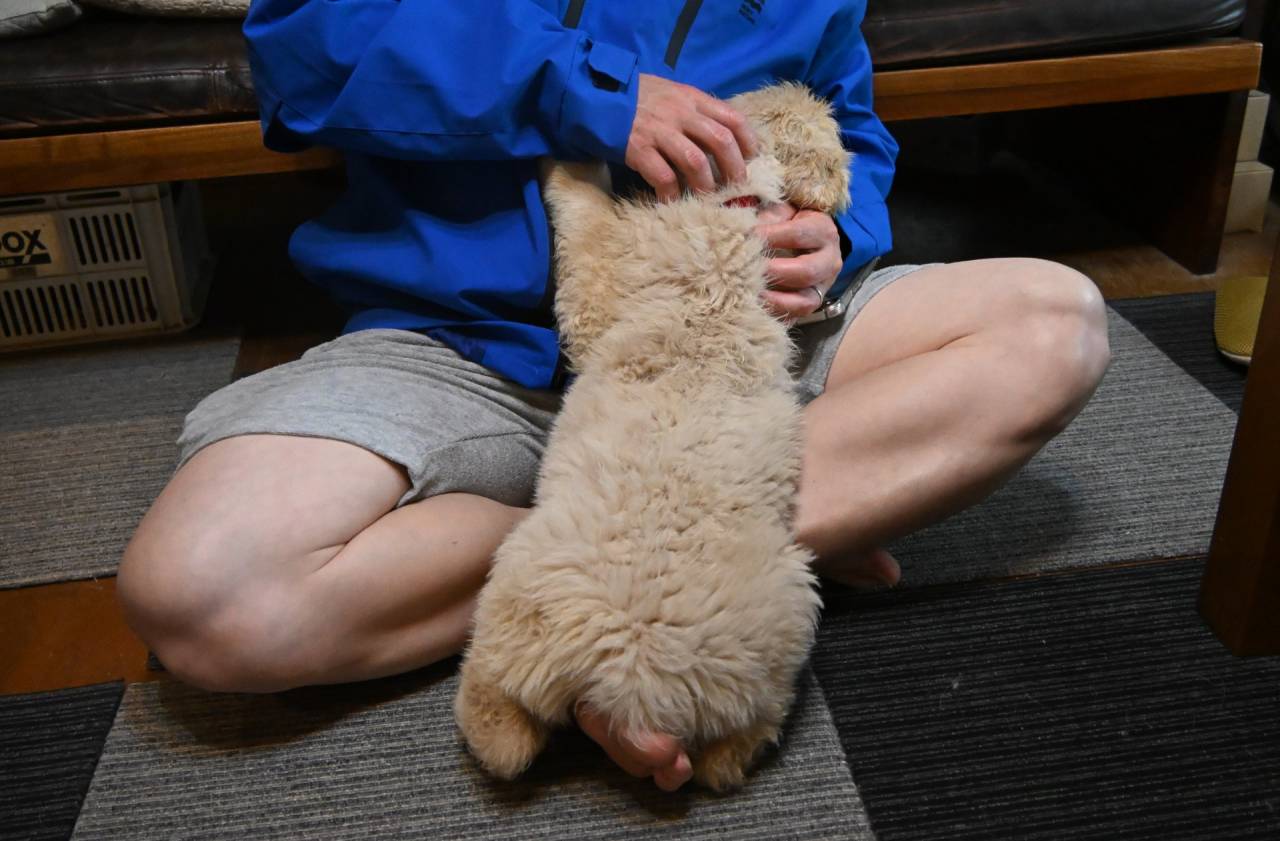 【命ある生き物】