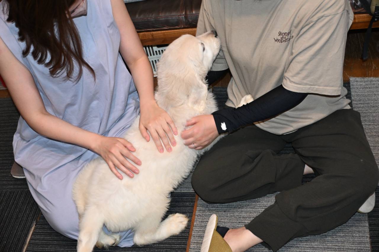 【マグゴル9期生】オレンジお迎え決まる