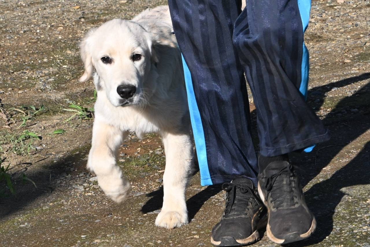 【彩斗】正式名が決まりました
