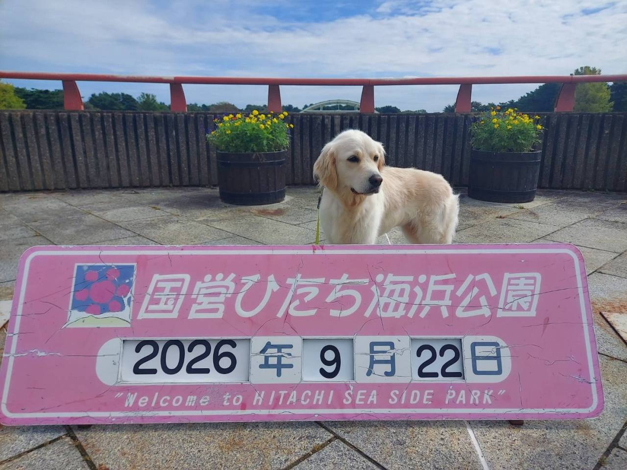 【シェリー】里子生活　Ⅰ　”初めての海浜公園”