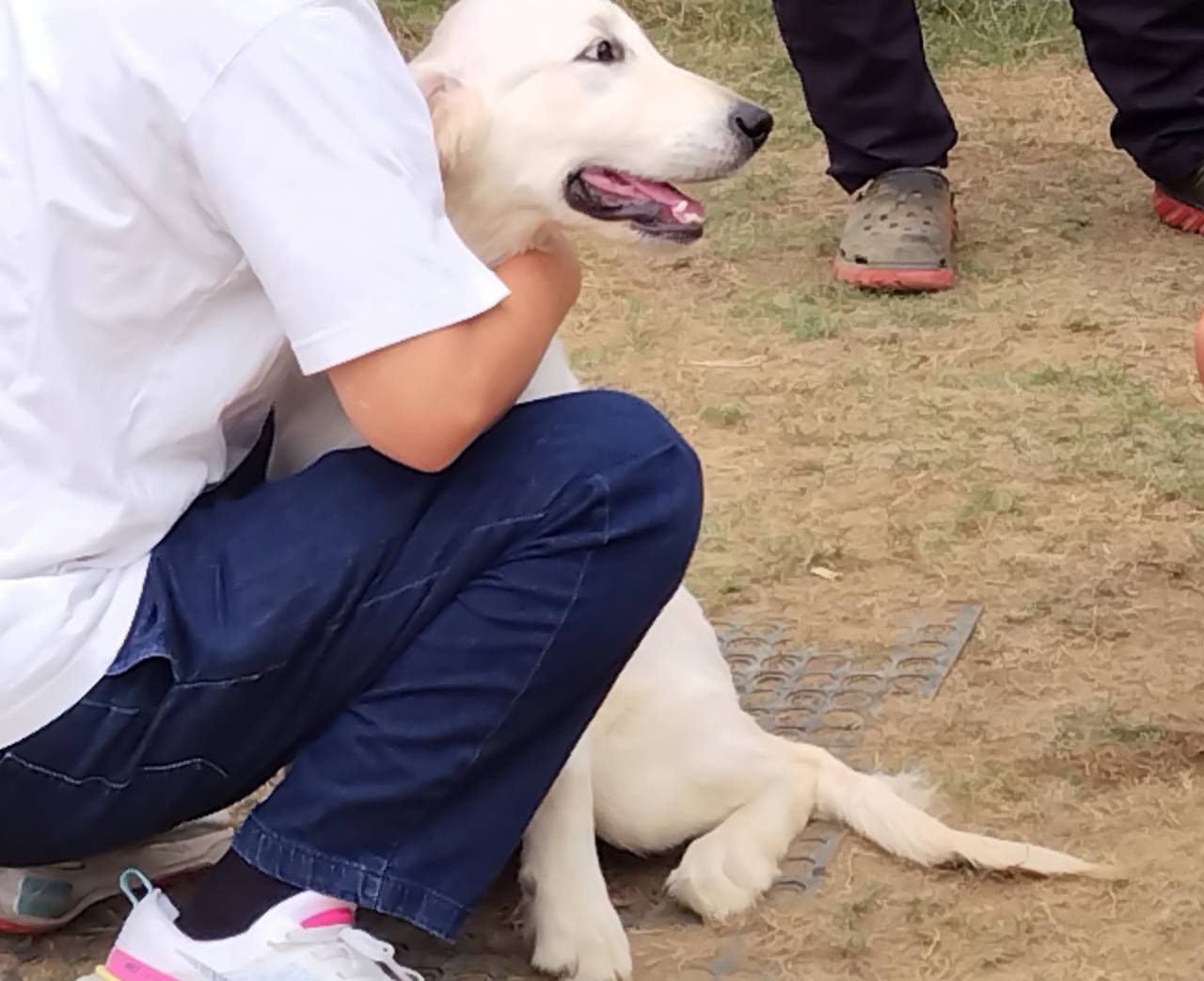 【藍君】人馴れトレーニング
