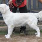 【マグゴル5期生】２歳の誕生日おめでとう