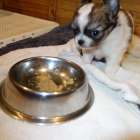 【マグチワ】まゆベビー