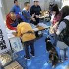 【環境省「人とペットの災害対策ガイドライン」】改訂