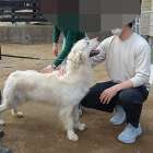 【おはようございます】