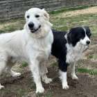 【久しぶり】おもち君　Ⅱ