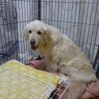 【アリスママ】ママしてます