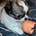 【おはようございます】