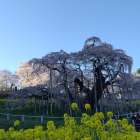 【お出かけ日記】福島編　Ⅰ