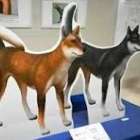 【歴史】犬と日本人